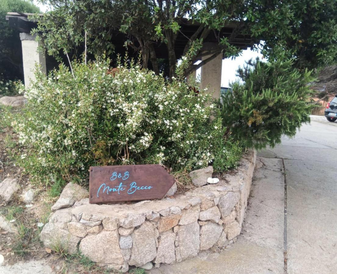 Monte Becco Panoramic Rooms Santa Teresa Gallura Zewnętrze zdjęcie